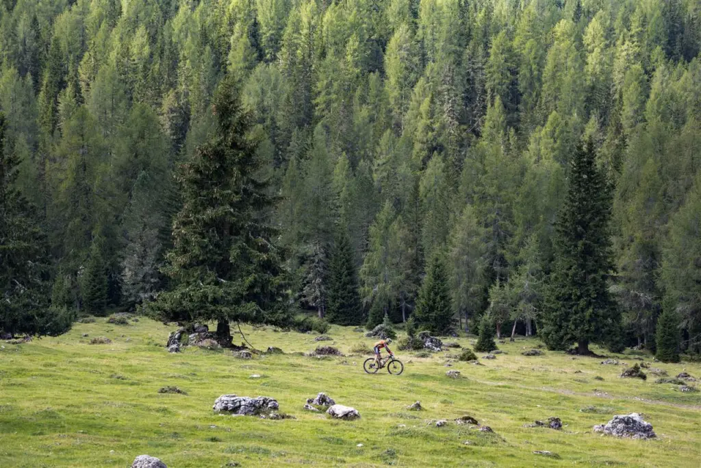 Giro Tre Cime