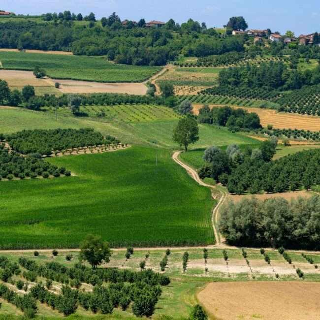Borghi del Monferrato