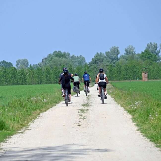Cycling Around Torino